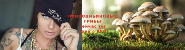 каннабис Арсеньев
