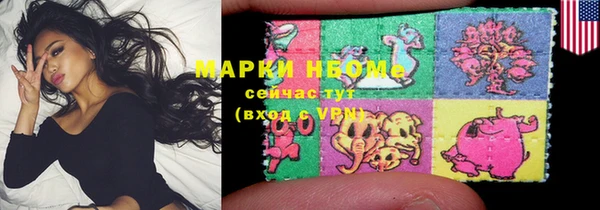 индика Саяногорск