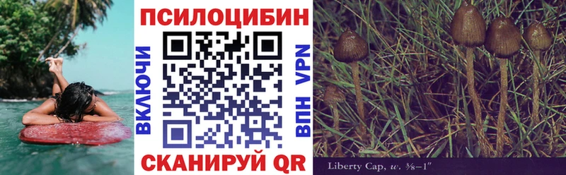 Галлюциногенные грибы мухоморы  купить наркотик  Шацк 